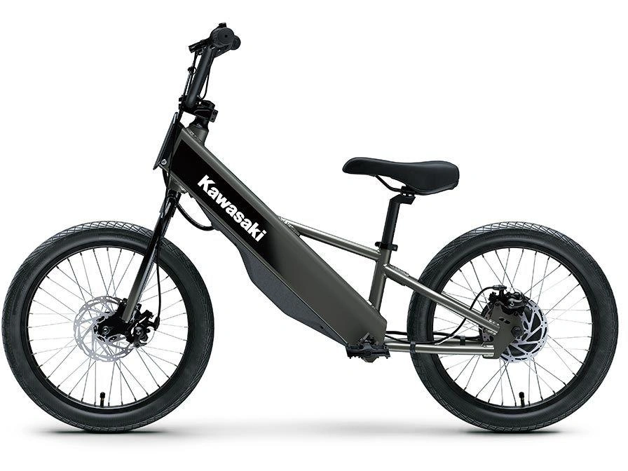 Kawasaki Elektrode 20fs 2027 alt
