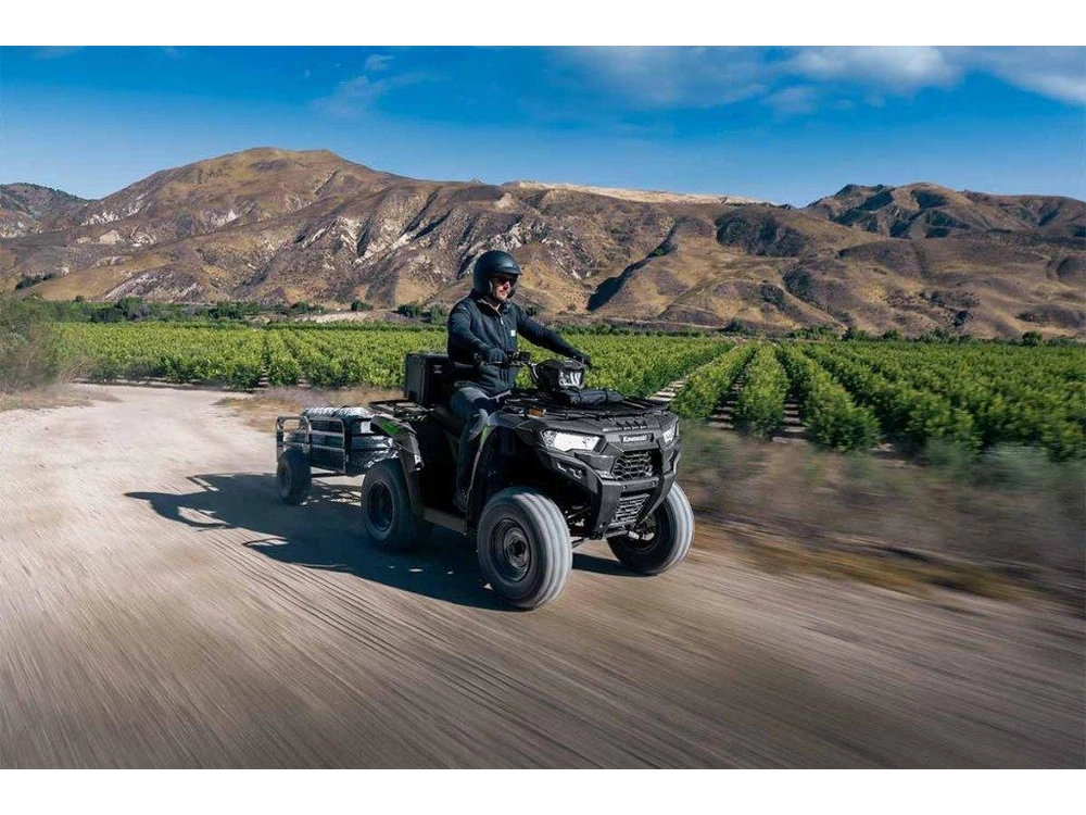 Kawasaki Brute Force 300 2027 alt