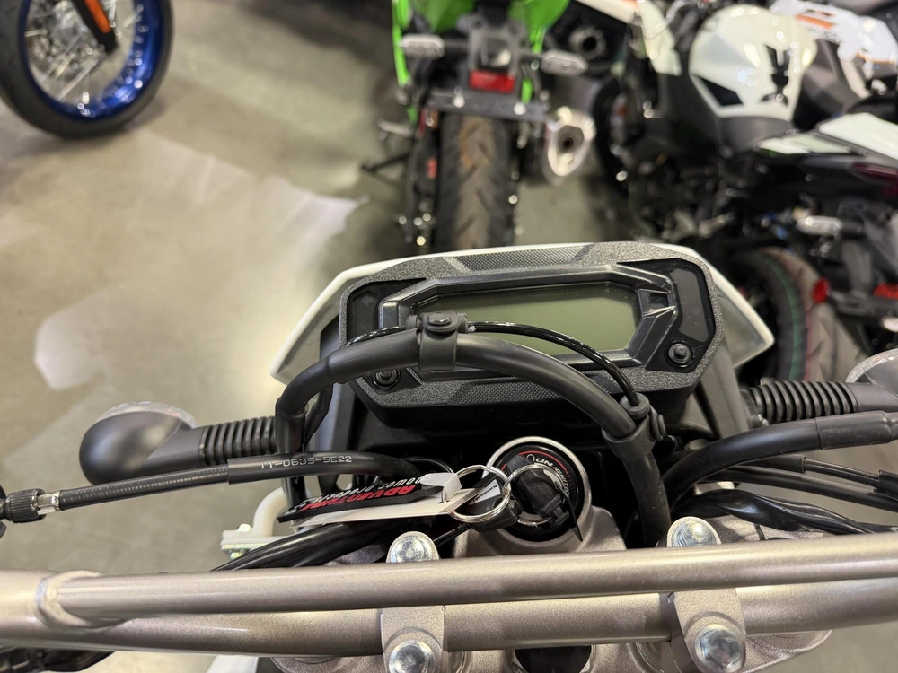 2026 Kawasaki Klx230 S alt
