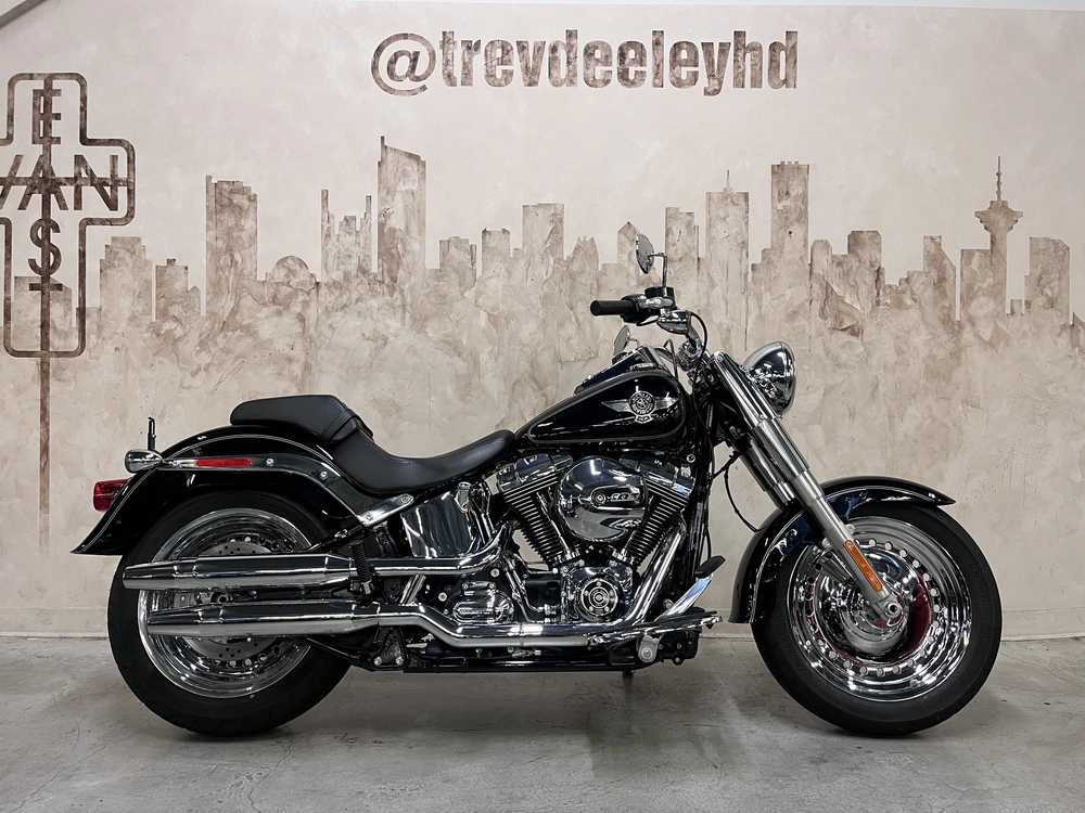 2017 Harley-davidson Flfbs Fat Boy alt