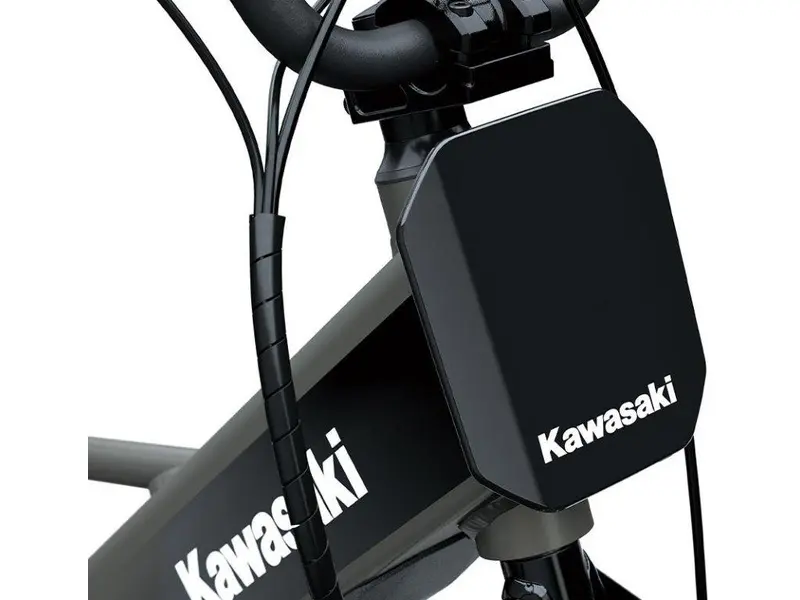 Kawasaki ELEKTRODE 20FS 2027