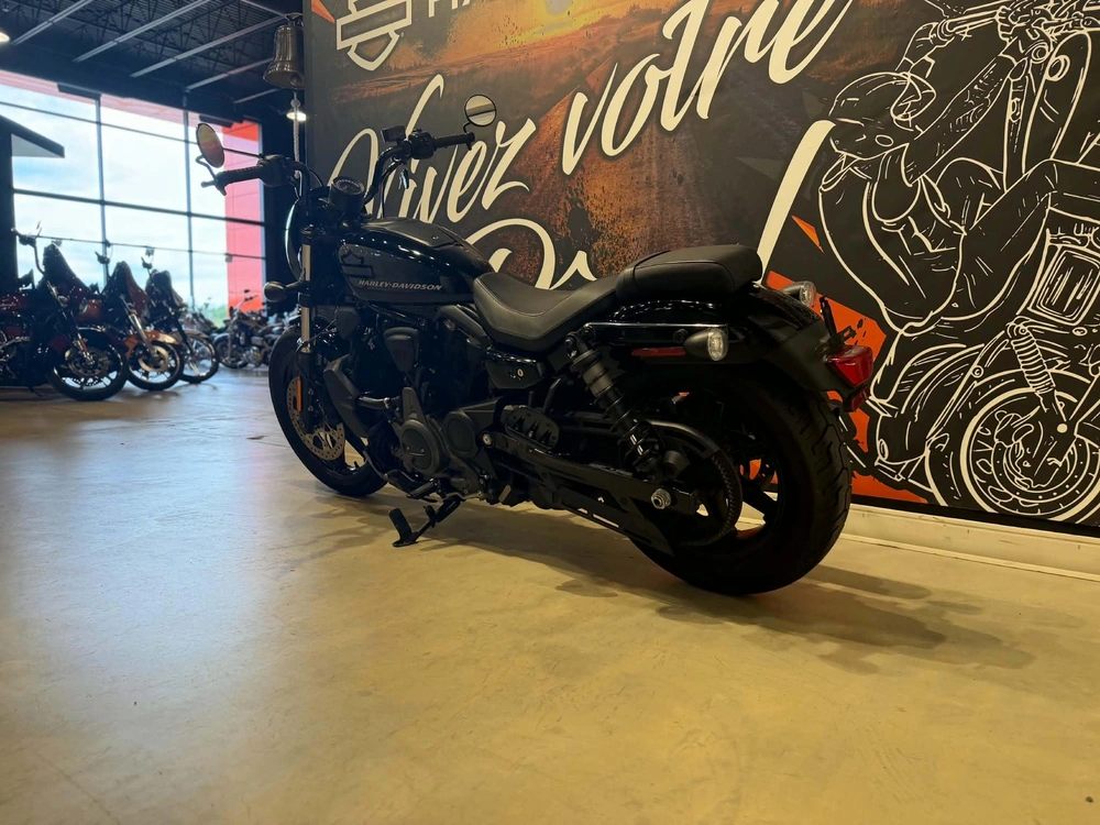Harley-davidson Nightster 975 2022 alt