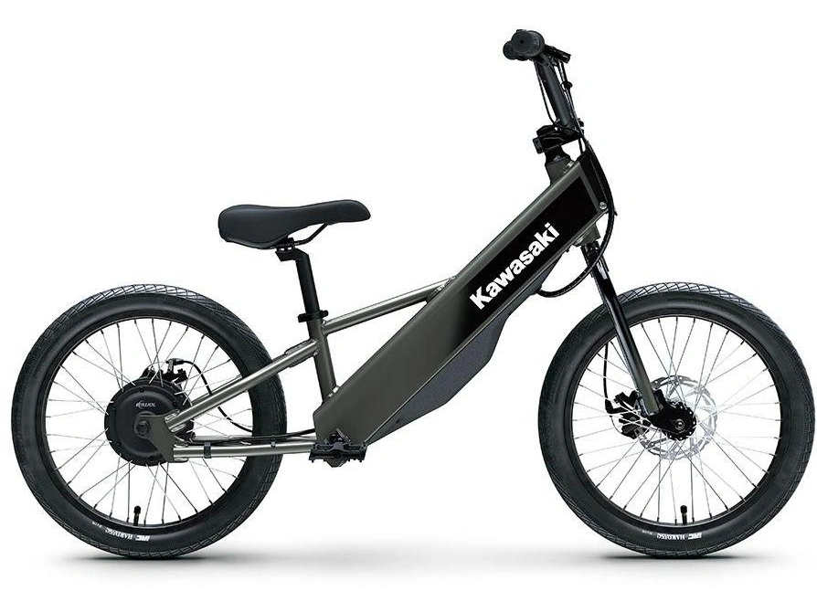 Kawasaki Elektrode 20fs 2027 alt