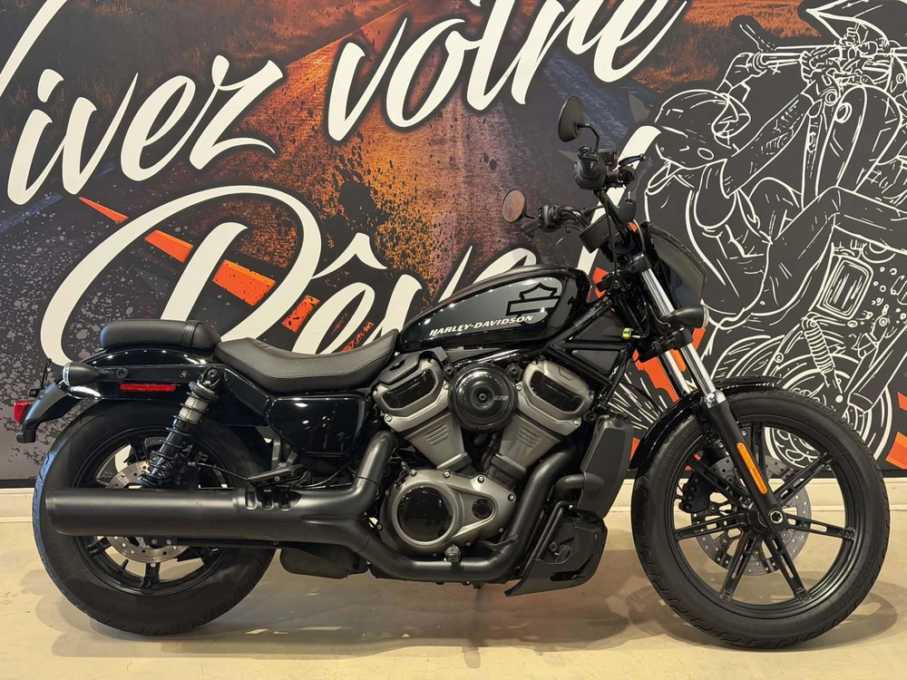 Harley-davidson Nightster 975 2022 alt