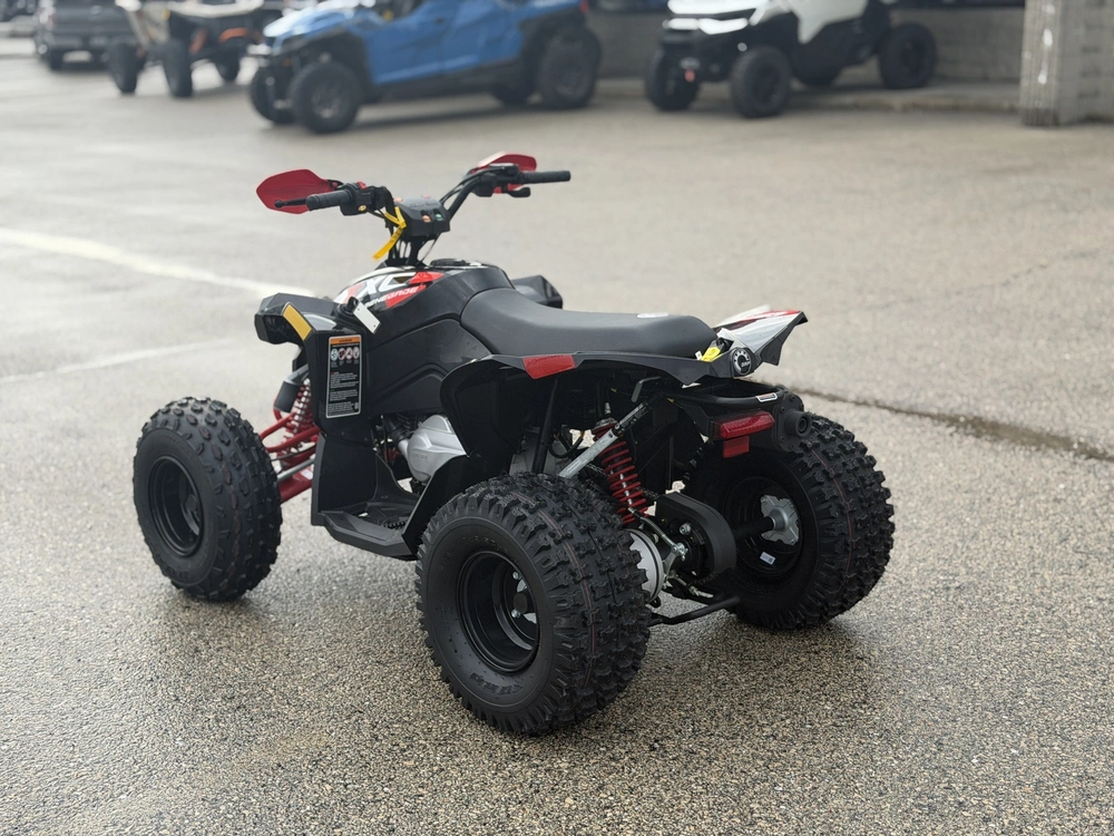 2026 Can-am Renegade X Xc 110 Efi alt