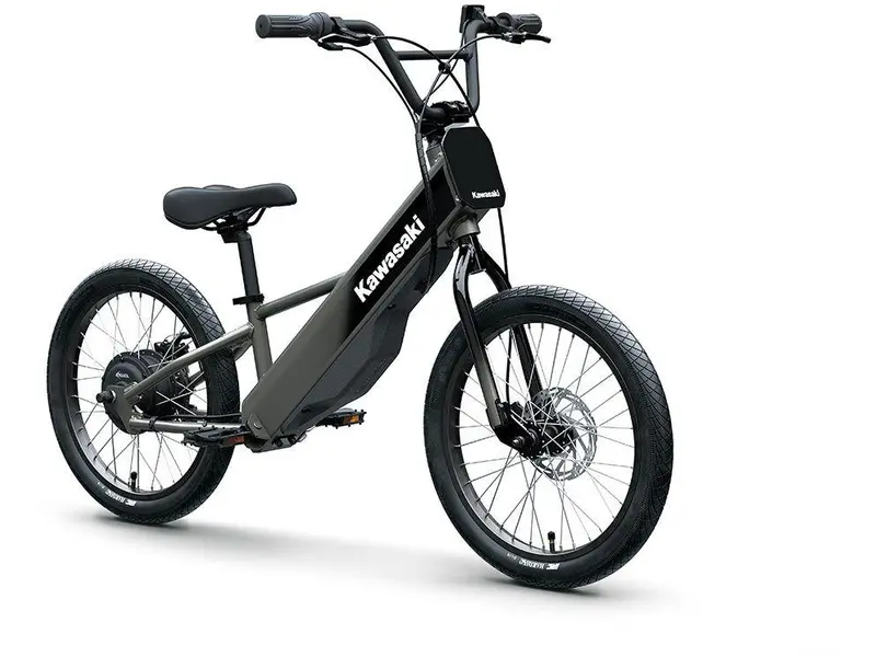 Kawasaki ELEKTRODE 20FS 2027