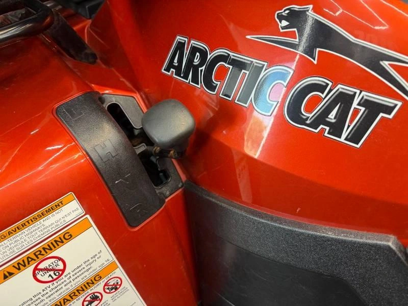 Arctic Cat Trv700 Cruiser 2010 alt
