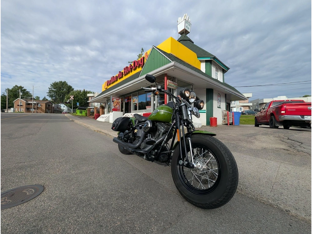 Harley-davidson Flstsb Softail Cross Bones 2009 alt