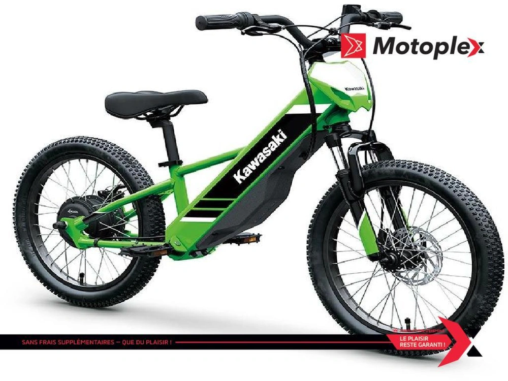 2027 Kawasaki Elektrode 20 alt