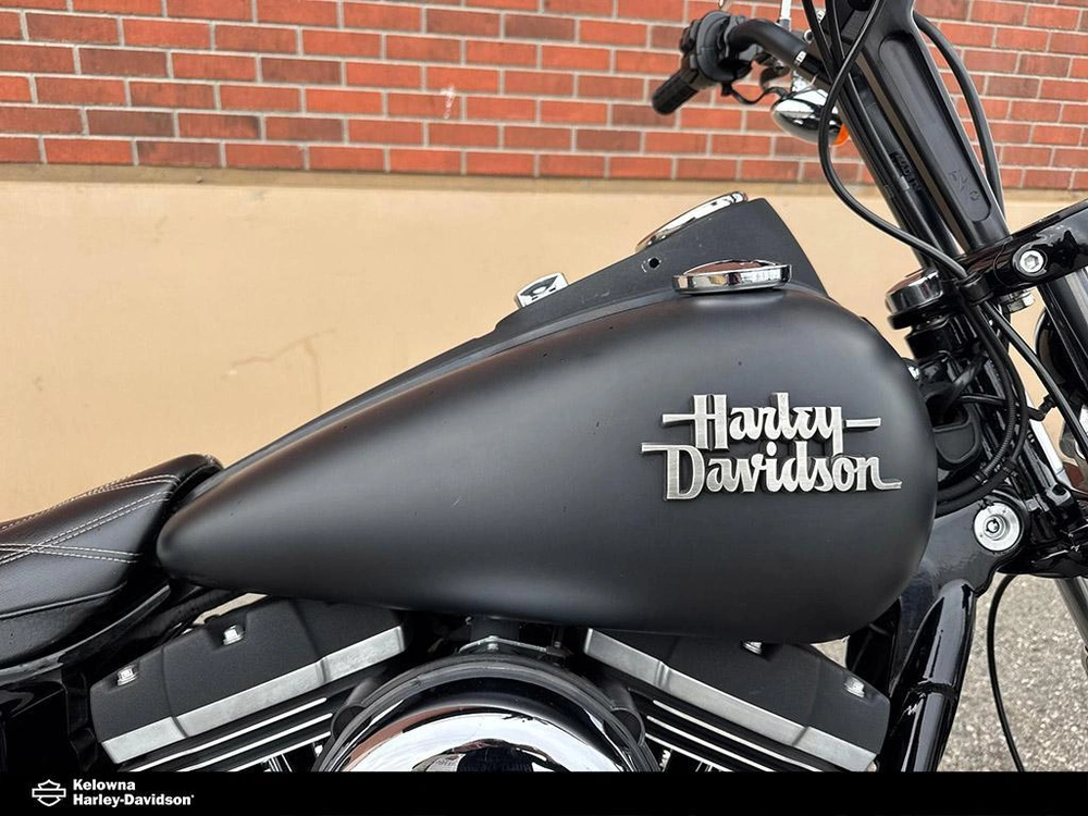 2015 Harley-davidson Fxdbp103 - Dyna® Street Bob alt