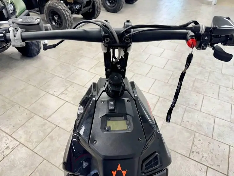 Arctic Cat WIDESCAPE 250 2024