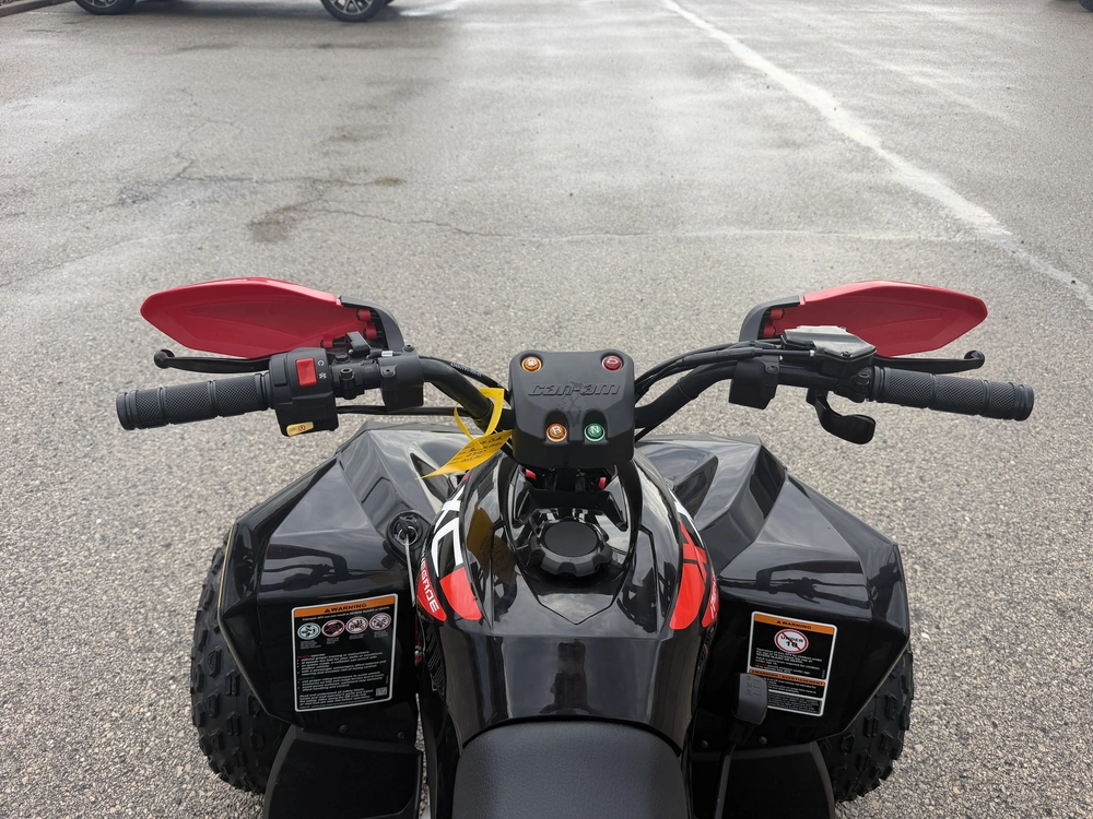 2026 Can-am Renegade X Xc 110 Efi alt