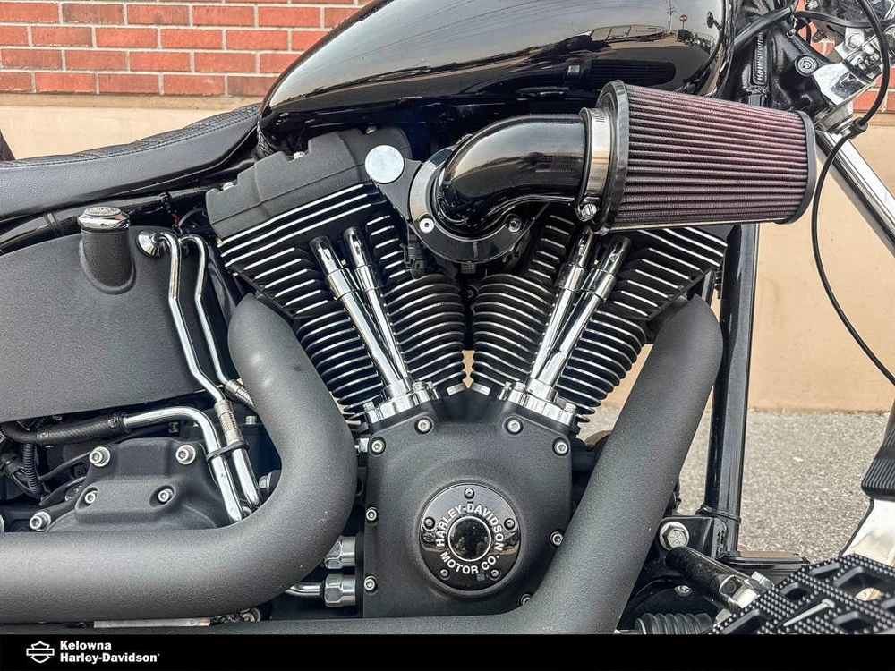 2009 Harley-davidson Fxstb - Night Train alt