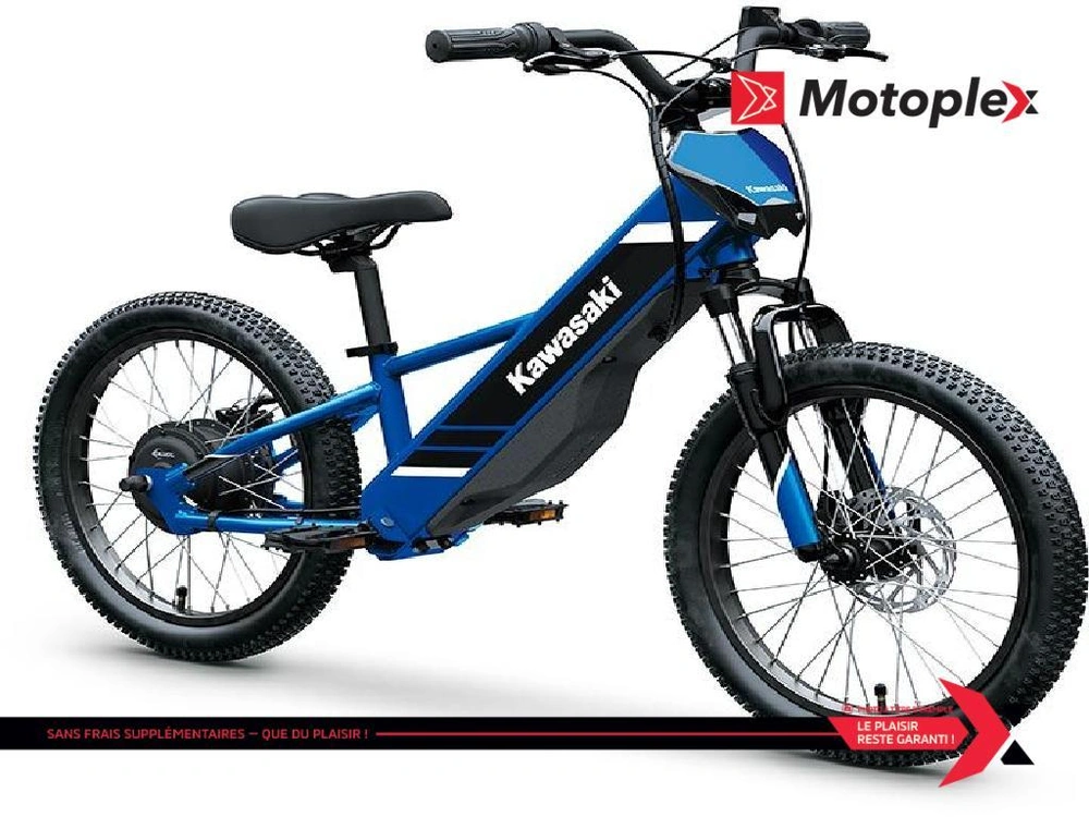 Kawasaki Elektrode 21 2027 alt