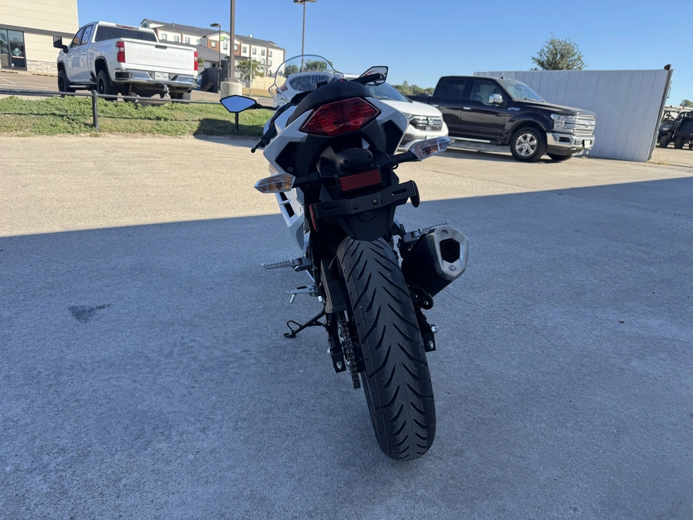 2026 Kawasaki Ninja 300 Abs alt