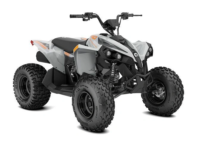 Can-am Renegade 110 Efi 2027 alt