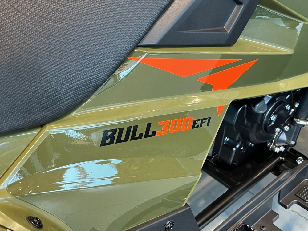 2027 Kayo Bull 300 Efi alt
