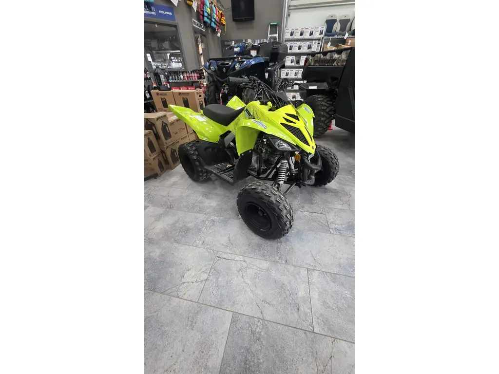 2026 Yamaha YFM01RYXTG 