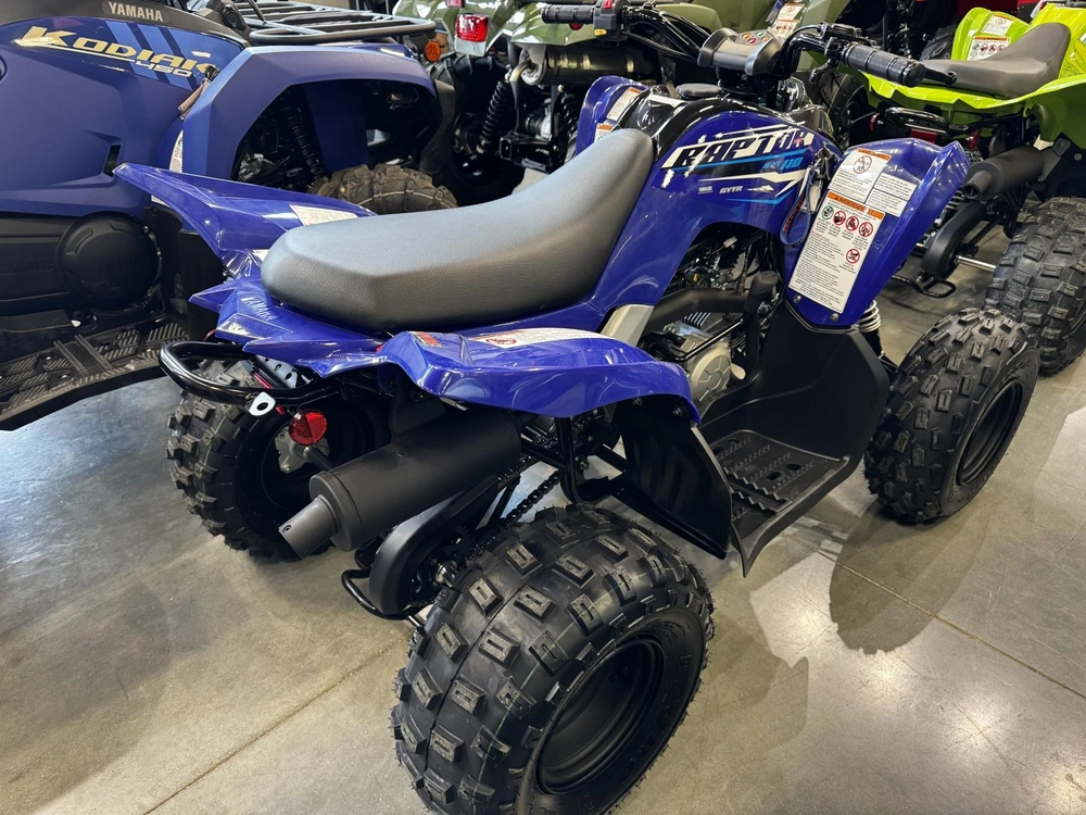 2026 Yamaha Raptor 110 alt