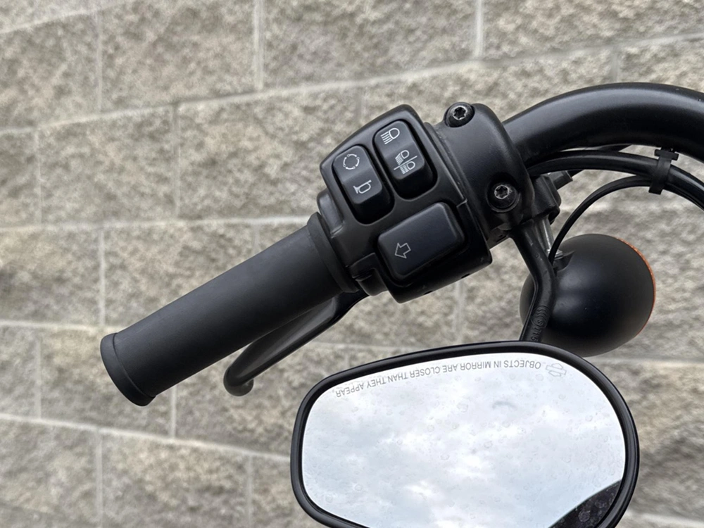 2019 Harley-davidson Xl1200ns - Iron 1200 alt