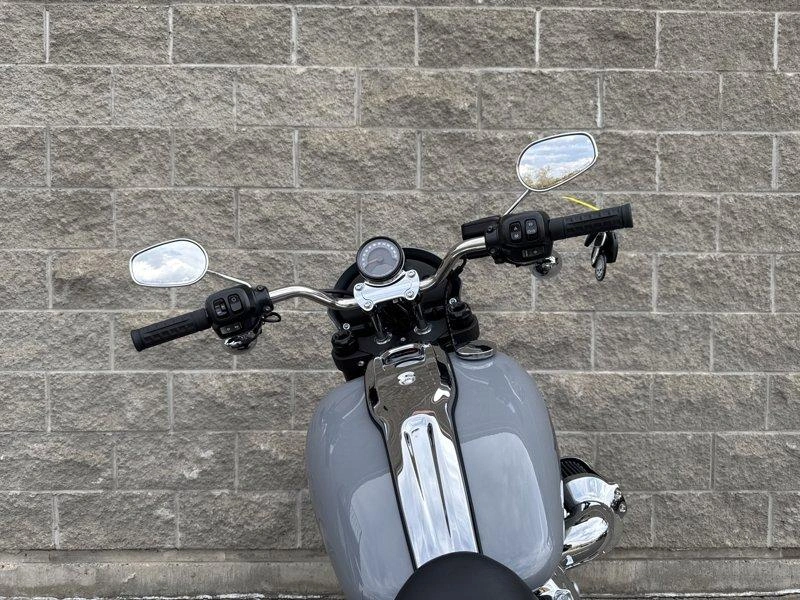 2026 Harley-davidson Cruiser Fxlrs - Low Rider™ S alt