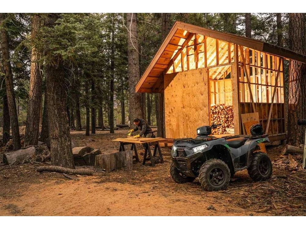 Kawasaki Brute Force 750 Eps Se 2027 alt
