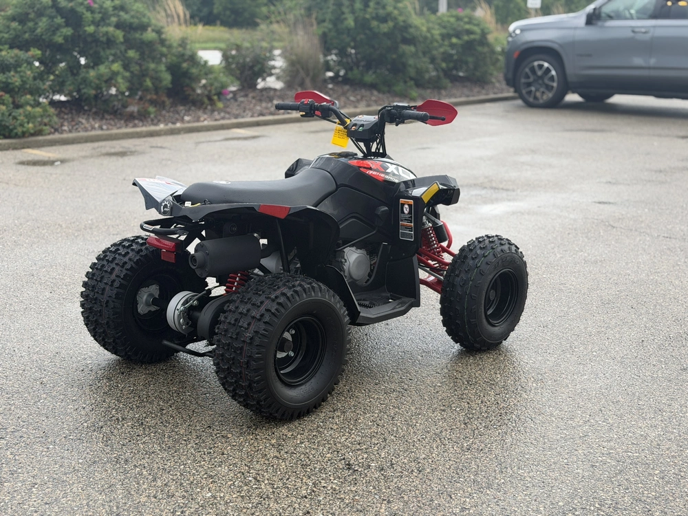 2026 Can-am Renegade X Xc 110 Efi alt