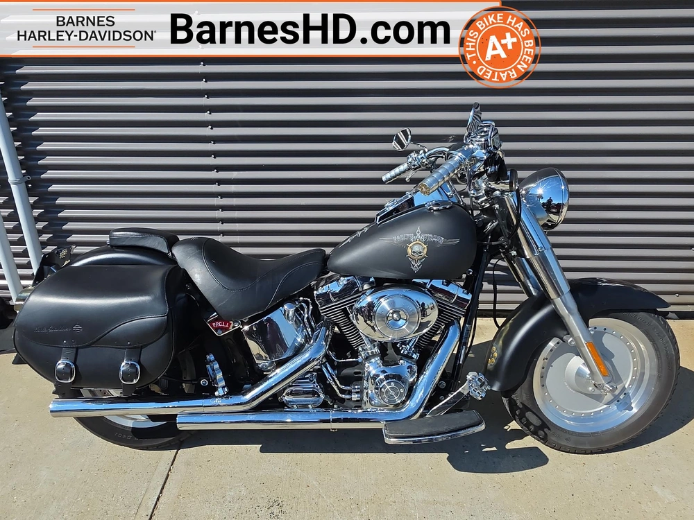 2006 Harley-davidson Cruiser Flstf - Fat Boy™ alt