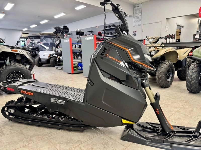 Arctic Cat Widescape 250 2024 alt