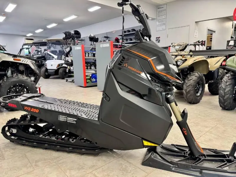 Arctic Cat WIDESCAPE 250 2024