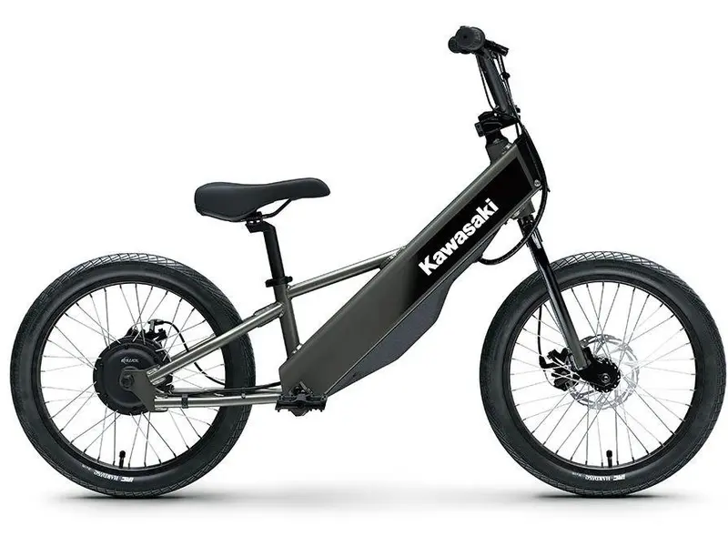 Kawasaki ELEKTRODE 20FS 2027