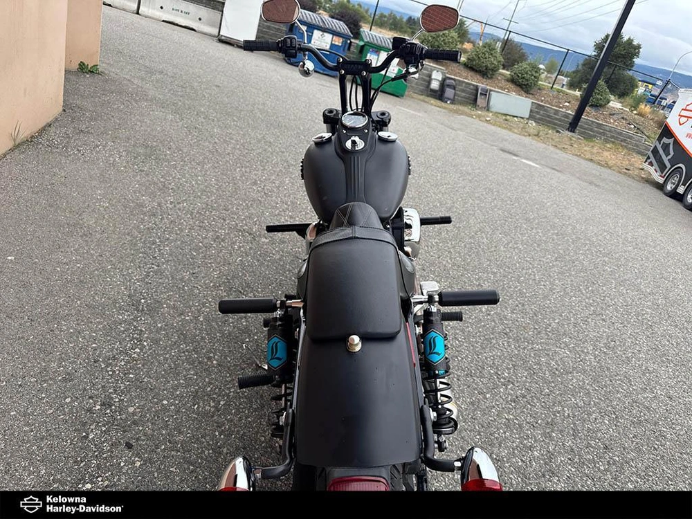 2015 Harley-davidson Fxdbp103 - Dyna® Street Bob alt
