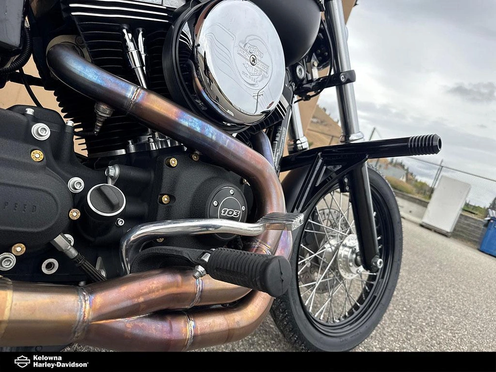 2015 Harley-davidson Fxdbp103 - Dyna® Street Bob alt
