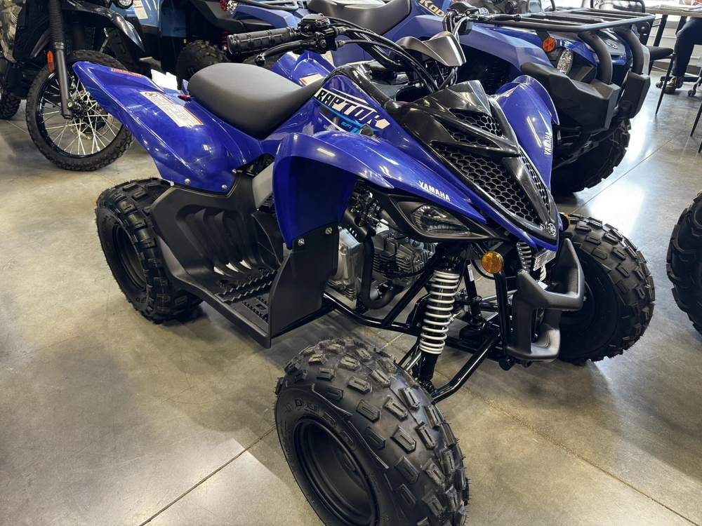 2026 Yamaha Raptor 110 alt