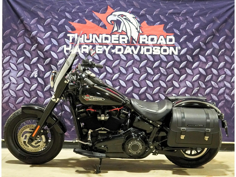 2018 Harley-davidson Flsl Softail Slim alt
