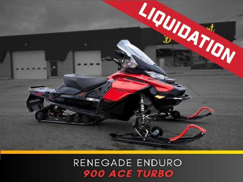 Ski-doo Renegade Enduro 900t 2019 alt
