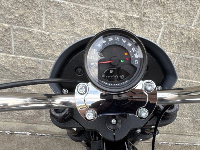 2026 Harley-davidson Cruiser Fxlrs - Low Rider™ S alt