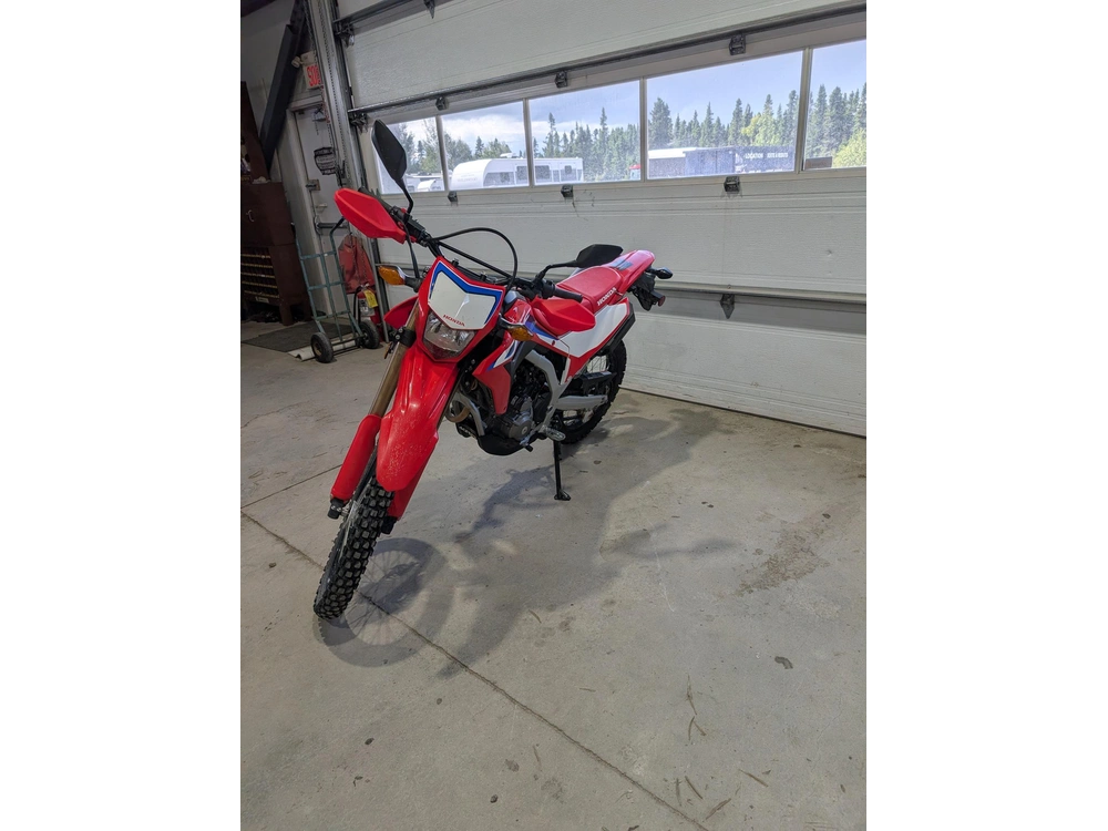 Honda Crf300l 2023 alt