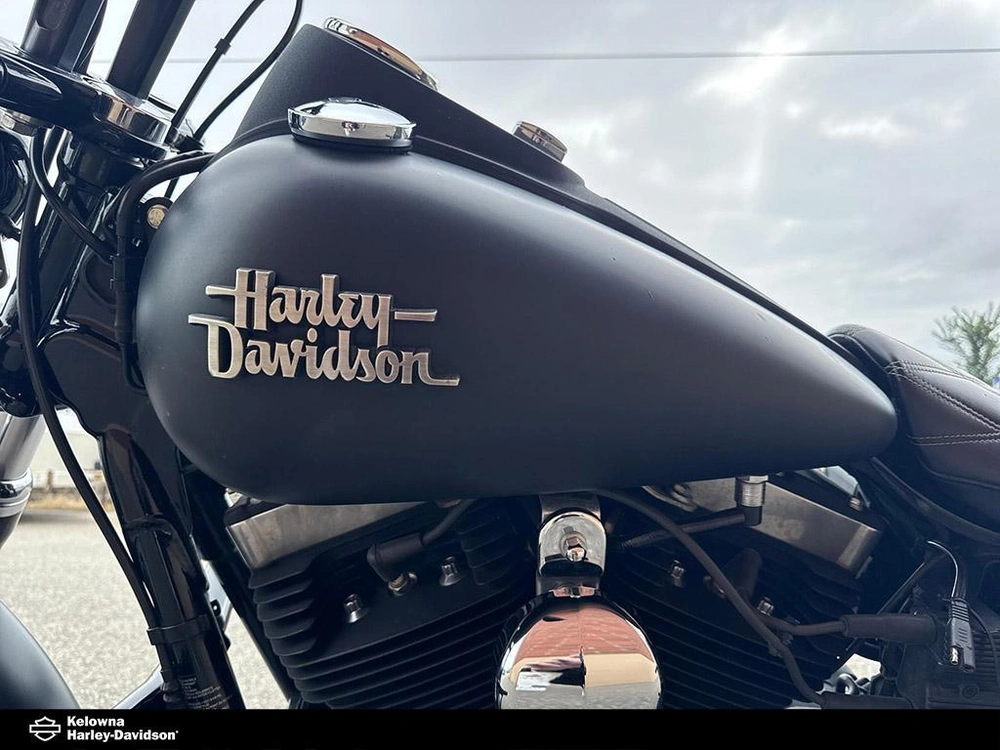 2015 Harley-davidson Fxdbp103 - Dyna™ Street Bob™ alt