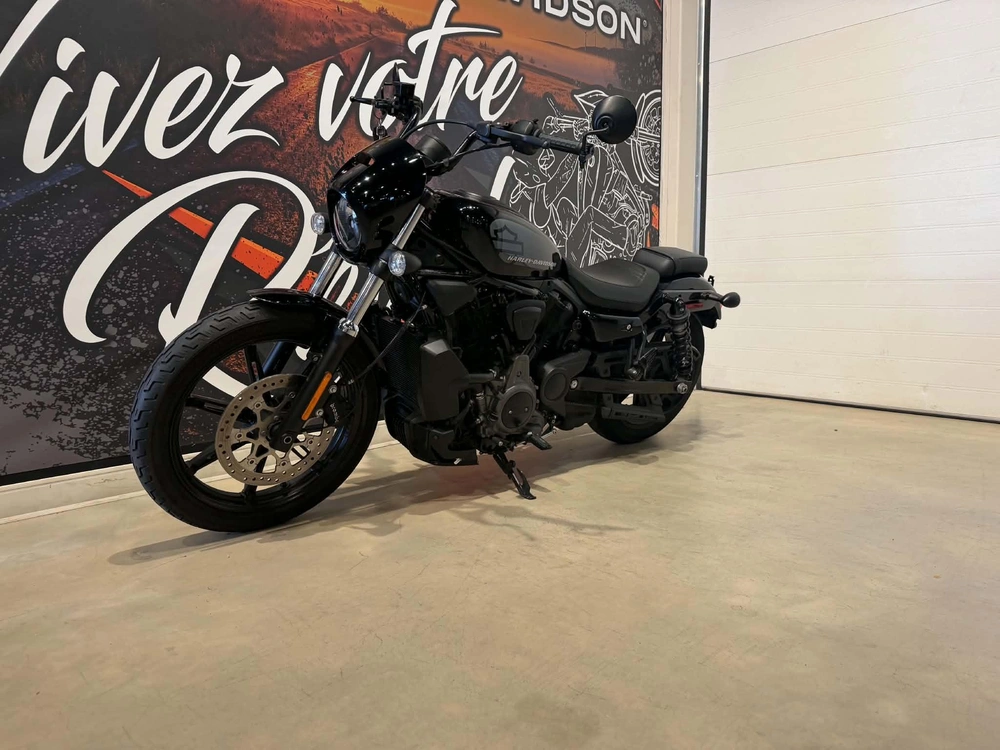 Harley-davidson Nightster 975 2022 alt