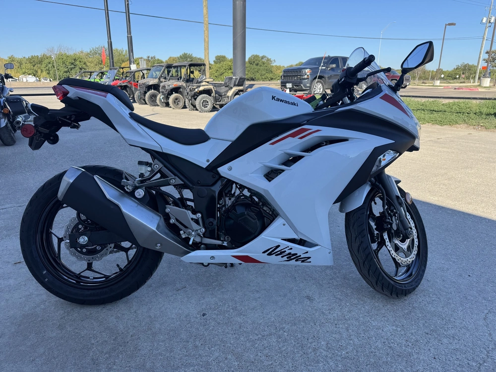 2026 Kawasaki Ninja 300 Abs alt