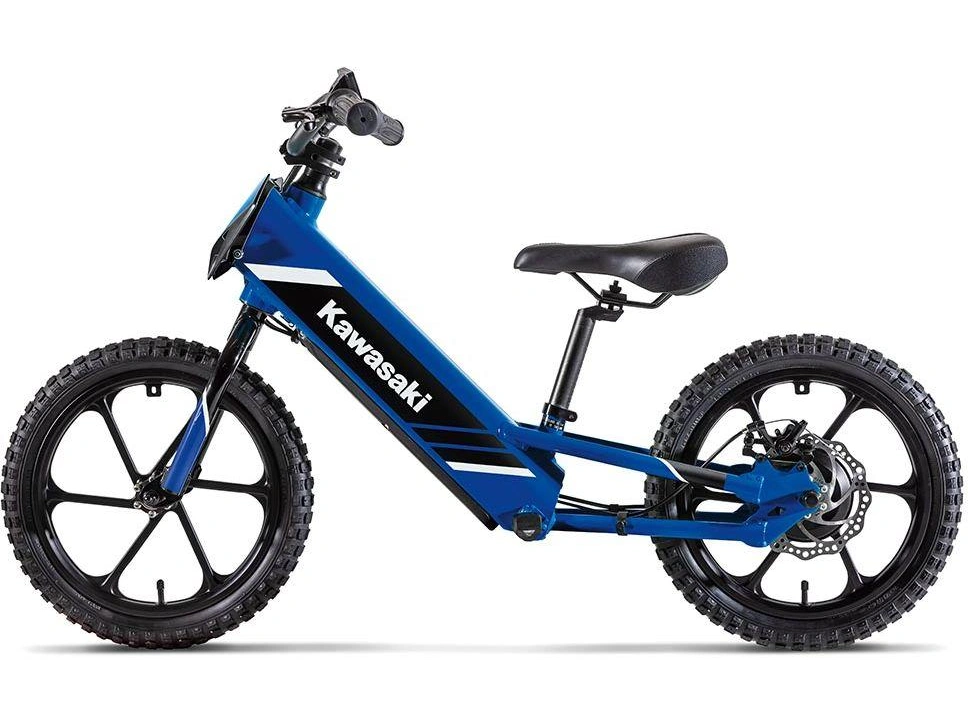 Kawasaki Elektrode 17 2027 alt