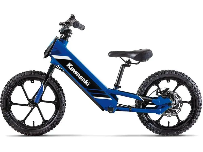 Kawasaki ELEKTRODE 17 2027