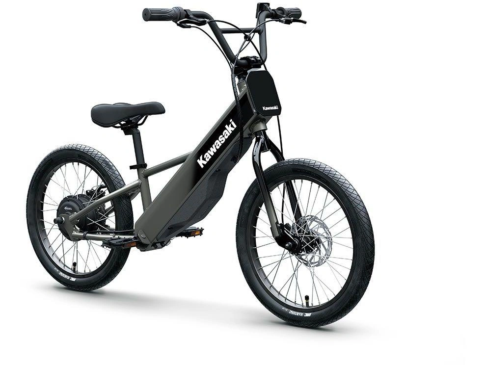 Kawasaki Elektrode 20fs 2027 alt