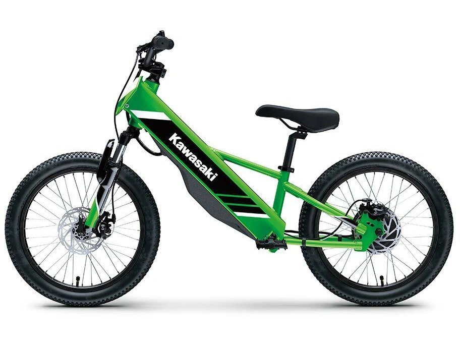 Kawasaki Elektrode 20 2027 alt
