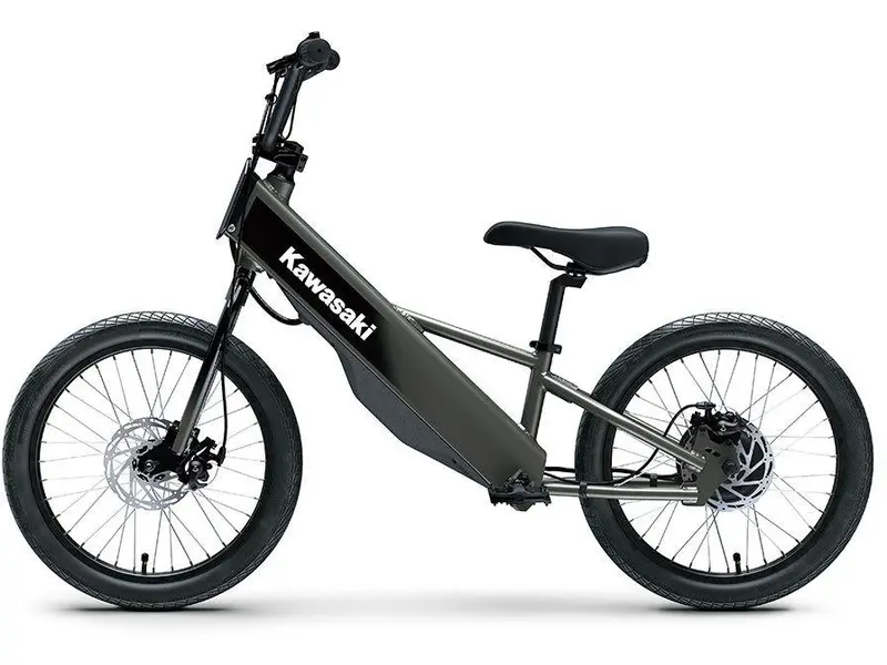 Kawasaki ELEKTRODE 20FS 2027