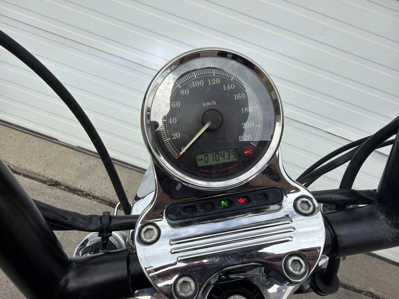 2013 Harley-davidson Xl1200cp - Sportster 1200™ alt