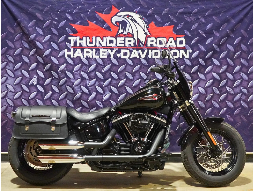 2018 Harley-davidson Flsl Softail Slim alt