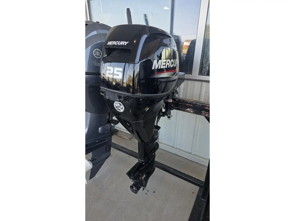 2021 Mercury 1A25213KK