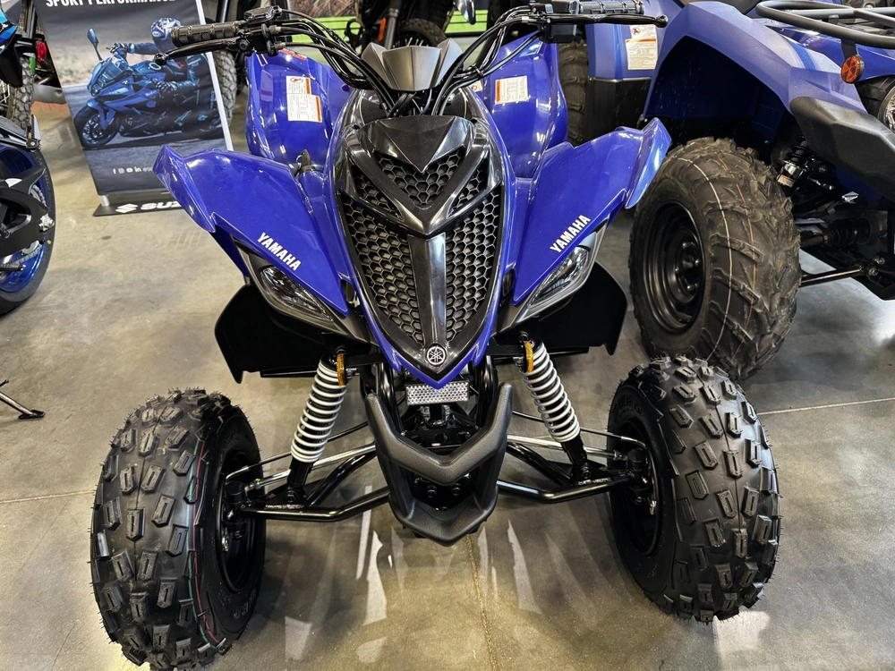 2026 Yamaha Raptor 110 alt